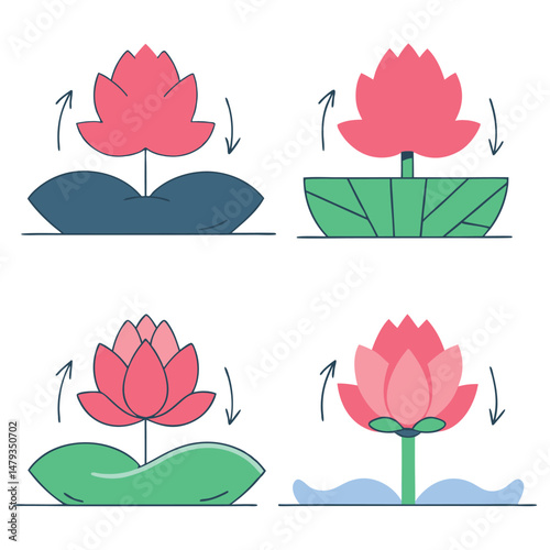 The Stages of Lotus Flower in Four Different Environments