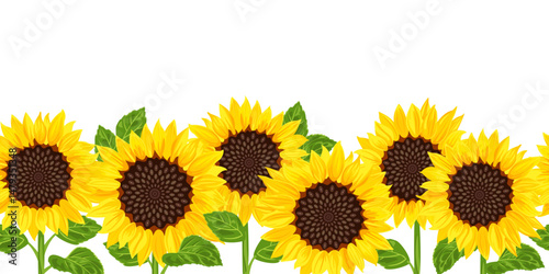 Sunflower seamless pattern. Vector cartoon flat illustration. Beautiful plant field.