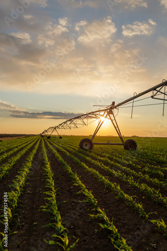 Automated irrigation equipment efficiently watering corn crops during sunset, enhancing growth and optimizing agricultural practices in a picturesque rural landscape