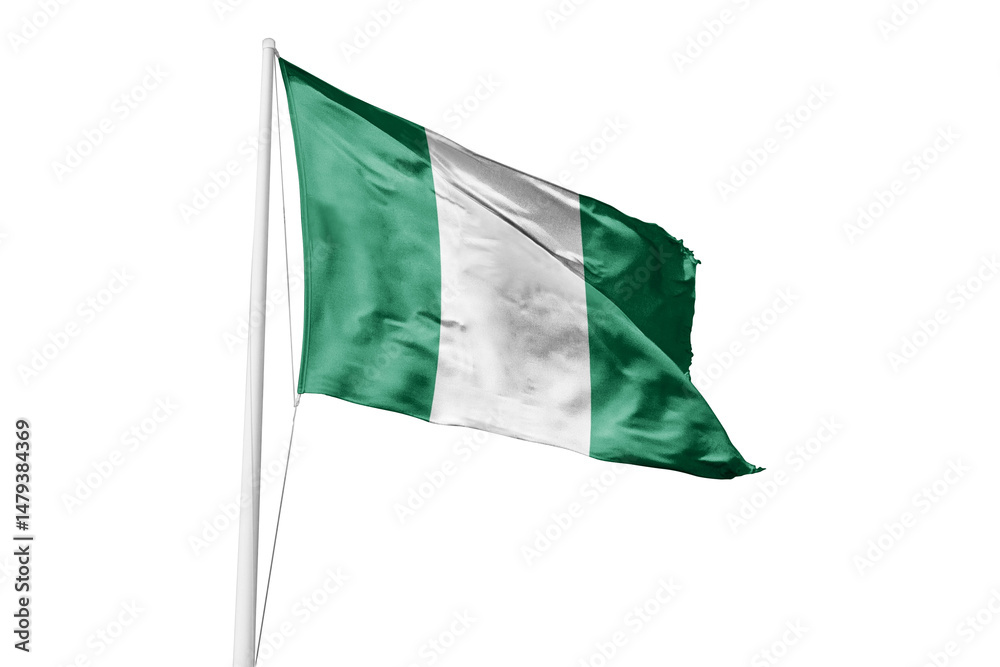 Obraz premium Nigeria flag 
