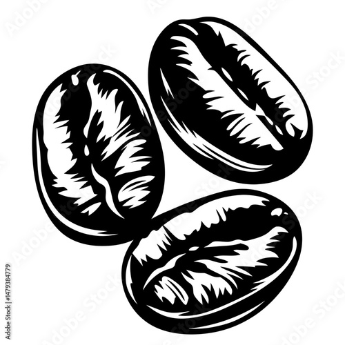 Three Roasted Coffee Beans Detailed Illustration Vintage Style Graphic Design Element