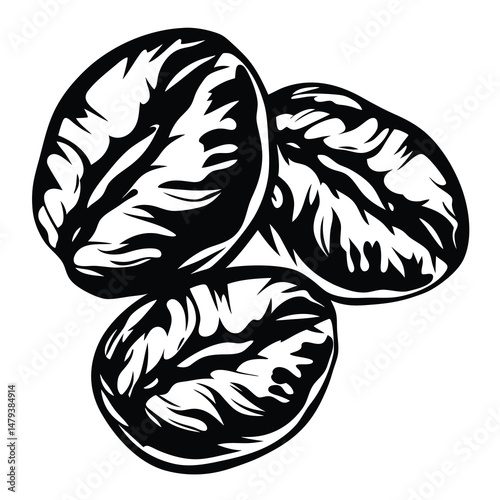 Three Roasted Coffee Beans Close Up Detailed Illustration