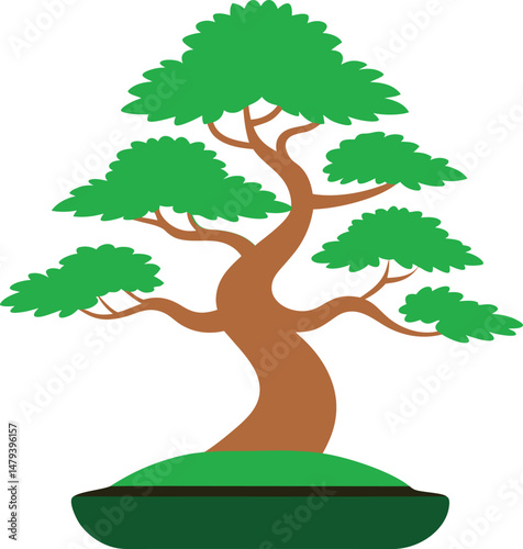 bonsai Illustration on transparent background