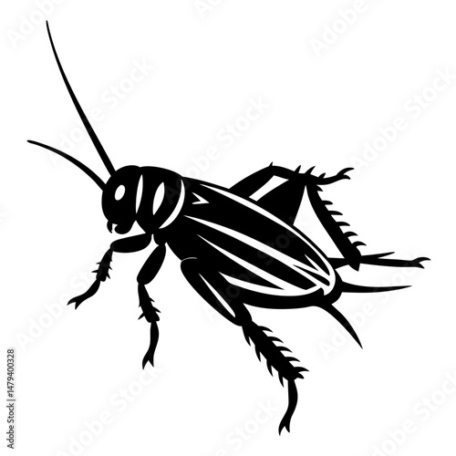 Detailed Black and White Illustration of a Cricket Insect with Long Antennae