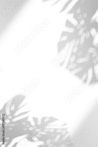 shadow overlay effects of realistic window and monstera leaf shadow isolated on transparent background,shadow for photo presentation interior backdrop mockup,Summer sunlight and shadow overlay effect