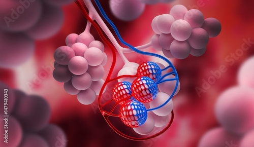 Photos Detailed medical 3D illustration of alveoli in the lungs, bronchiole with blood