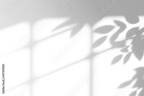 shadow overlay effects of realistic window and tree branch shadow with light blur on transparent backgr,Summer sunlight and shadow overlay effect,shade for photo interior backdrop studio mockup design
