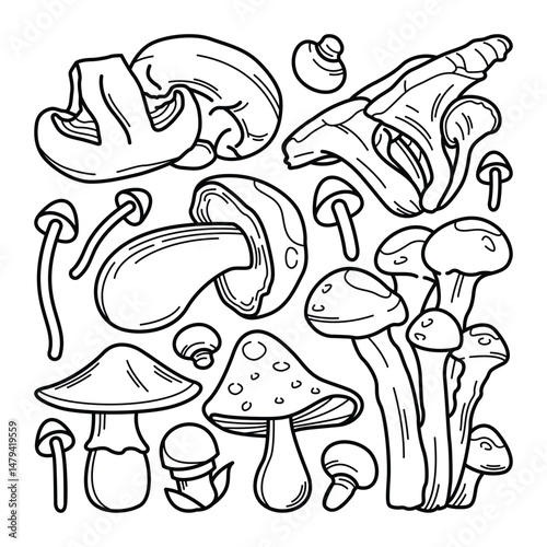 Collection of Hand Drawn Mushroom Doodles