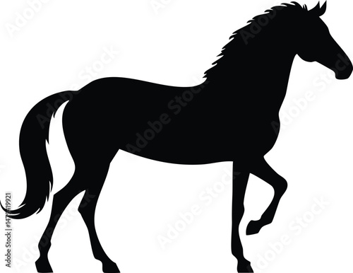 brihati Horse silhouette illustration