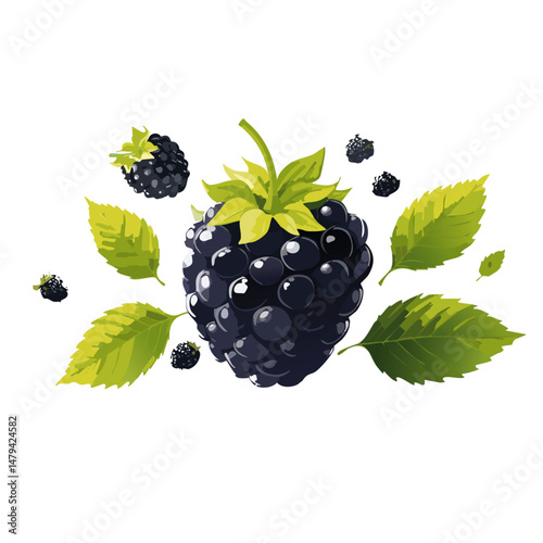 blackberry with leaves falling vector icon graphic design