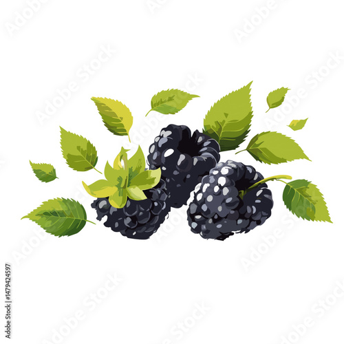 blackberry with leaves falling vector icon graphic design