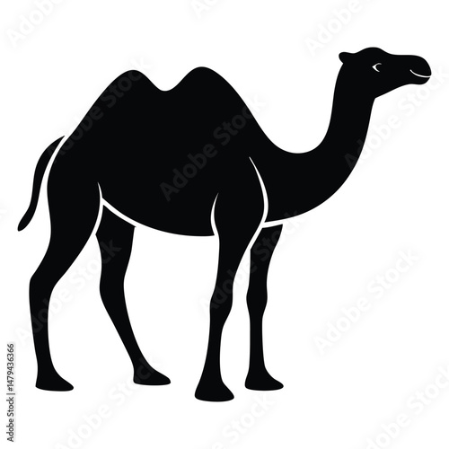 silhouette of Camel vector on white background, Camel icon vector, black camel animal silhouette