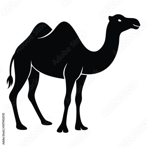 silhouette of Camel vector on white background, Camel icon vector, black camel animal silhouette