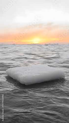 Floating Ice Fragment Against Monochrome Sunset Sky