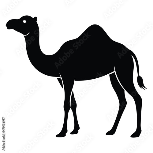 silhouette of Camel vector on white background, Camel icon vector, black camel animal silhouette