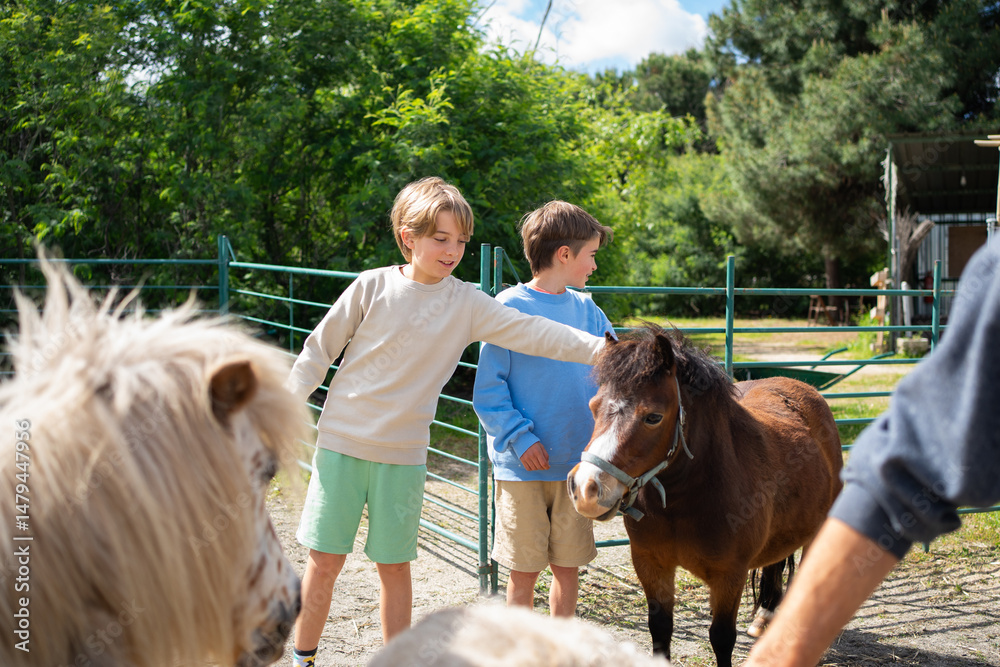 Αυτοκόλλητο Children petting pony on farm during summer day