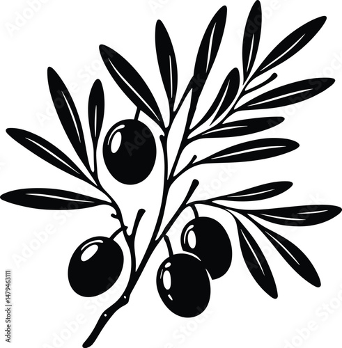  Olives on Thin Branch Silhouette – Thin Outline Vector Illustration