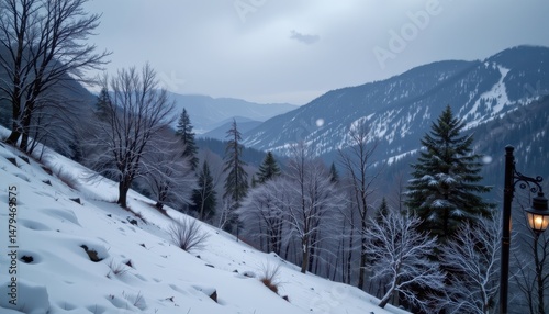 light snow begins to fall on a quiet hillside forest as night approaches.