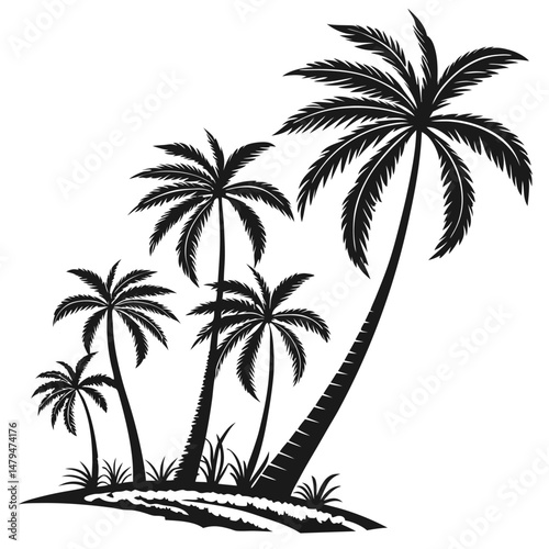 Silhouette of Palm Trees on a Tropical Island