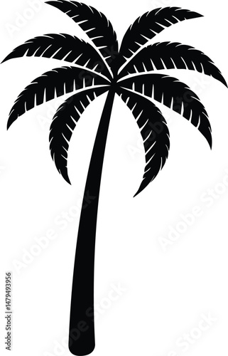 striking black silhouette of a tropical palm tree