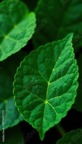 Intricate gold veins on emerald leaves, lush spring foliage , sophisticated, leaf, leaves