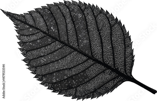 Abstract Fingerprint Leaf, Black and White