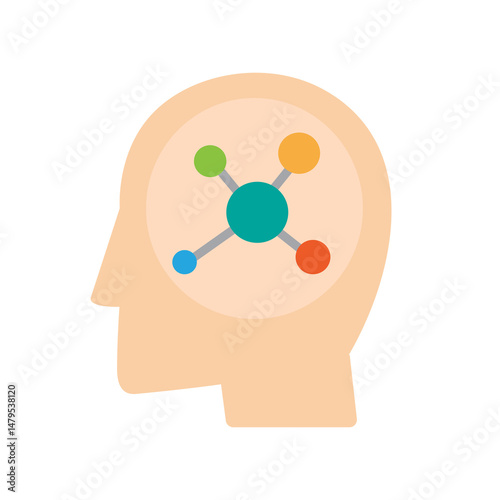 Brain Network Connection
