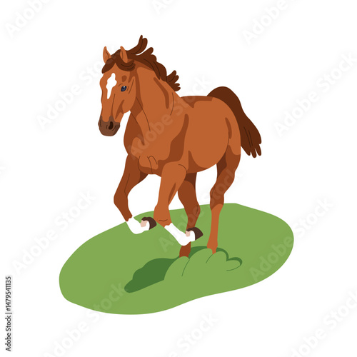 Quarter horse on grass outdoors. Equine animal in movement. Thoroughbred stal...