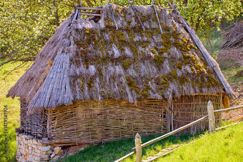 Ukrainian village house with a thatched roof covered with moss walls made of woven vines