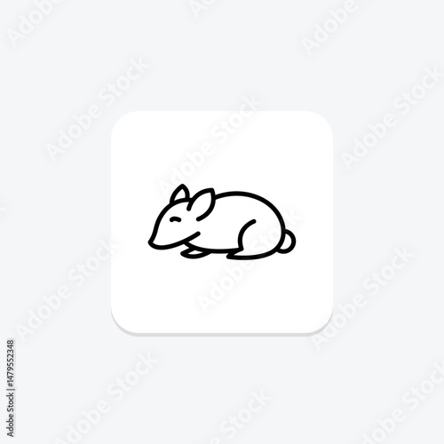 Chinchilla, vector, pixel perfect, illustrator file