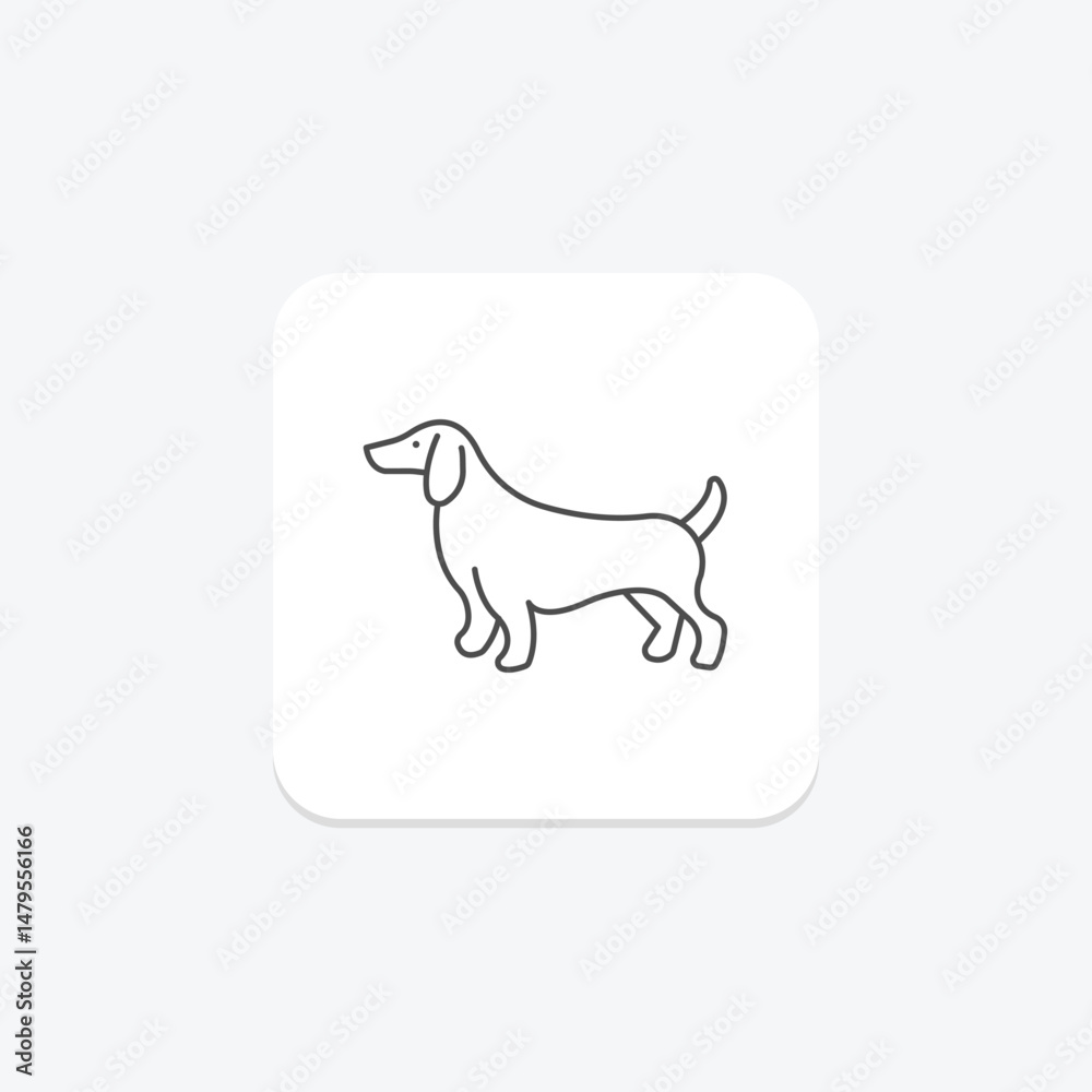 Fototapeta premium Dachshund, vector, pixel perfect, illustrator file