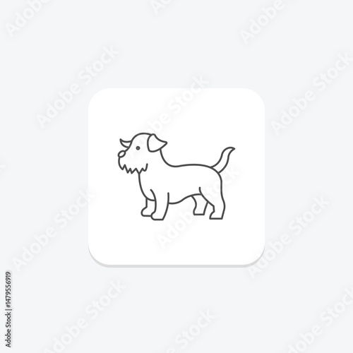Norfolk Terrier, vector, pixel perfect, illustrator file