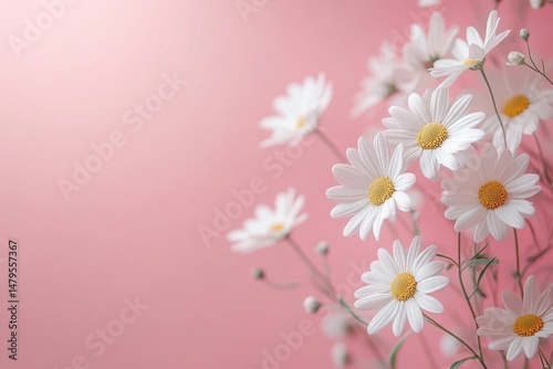 Bright white daisies bloom beautifully against a soft peach background, creating a serene and uplifting atmosphere perfect for decoration and celebration