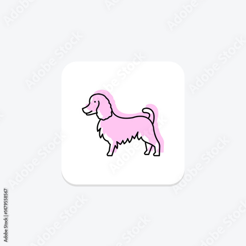 Collie, vector, pixel perfect, illustrator file