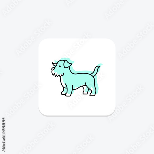Norfolk Terrier, vector, pixel perfect, illustrator file