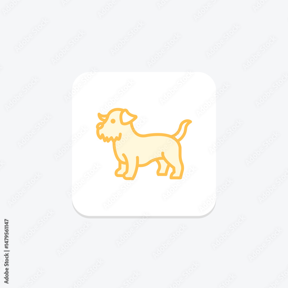 Fototapeta premium Norfolk Terrier, vector, pixel perfect, illustrator file