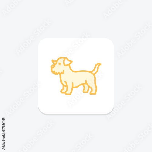 Norfolk Terrier, vector, pixel perfect, illustrator file