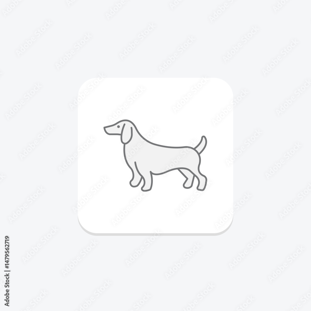 Fototapeta premium Dachshund, vector, pixel perfect, illustrator file