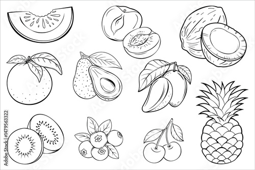 Collection of hand-drawn tropical and seasonal fruits in black and white outline style