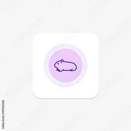 Guinea Pig, vector, pixel perfect, illustrator file