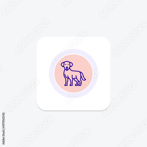 Labrador Retriever, vector, pixel perfect, illustrator file