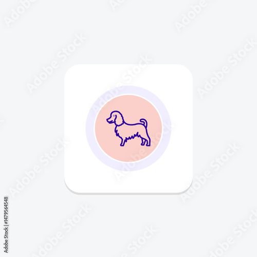 Collie, vector, pixel perfect, illustrator file