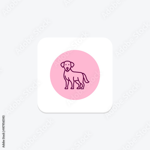 Labrador Retriever, vector, pixel perfect, illustrator file