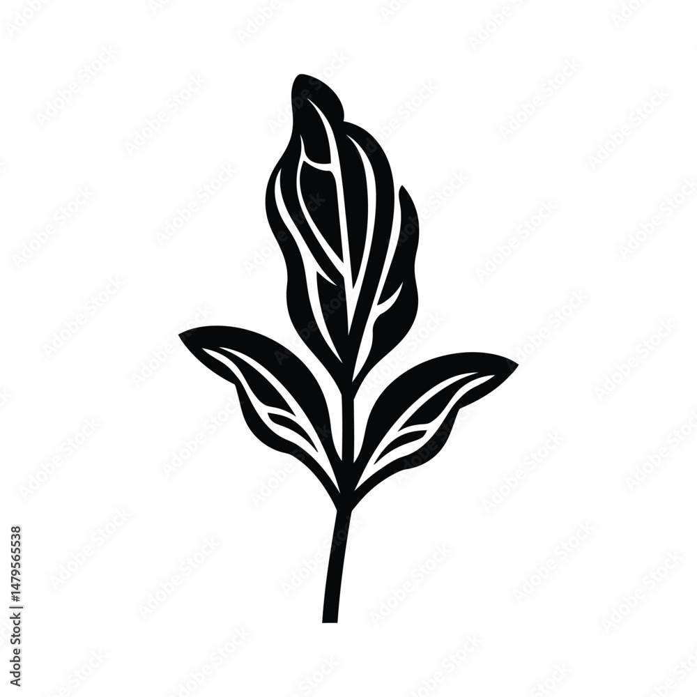 Obraz premium Spinach Silhouette Clipart 