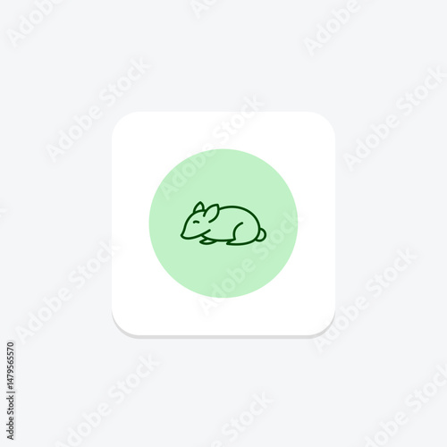 Chinchilla, vector, pixel perfect, illustrator file
