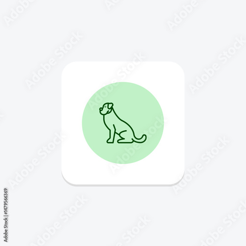 Boxer, vector, pixel perfect, illustrator file