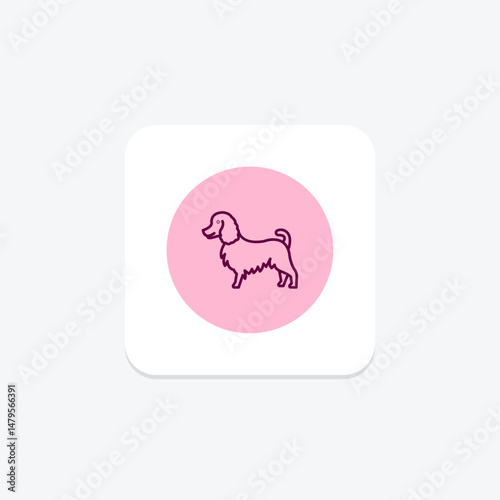 Collie, vector, pixel perfect, illustrator file