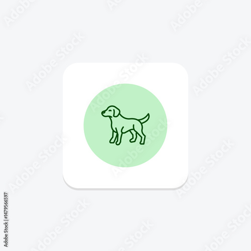 Doodle, vector, pixel perfect, illustrator file