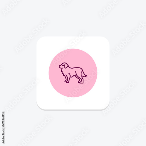 Bernese Mountain Dog, vector, pixel perfect, illustrator file
