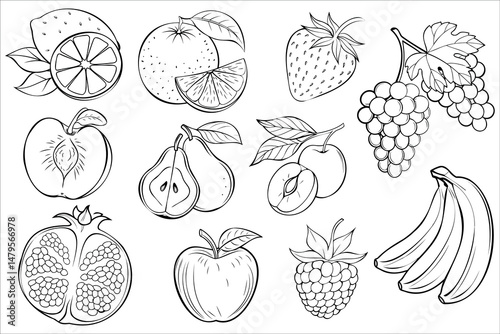 Set of black and white outlined fruits including berries, citrus and tropical varieties in hand-drawn style